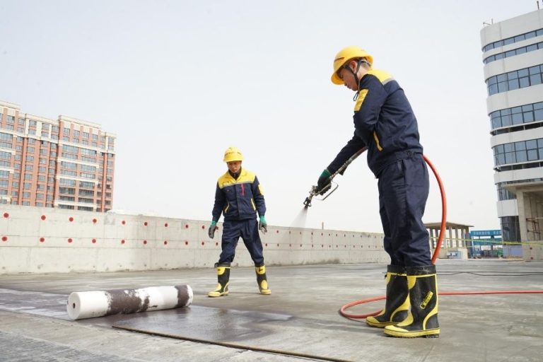 importance of roof cleaning